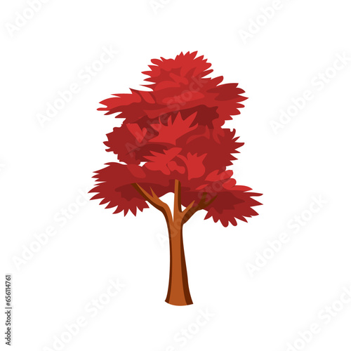 Red maple tree flat vector illustration, acer rubrum or scarlet maple, soft maple or swarm red maple