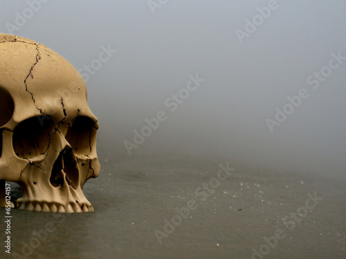 A human or ape skull surrounded by smoke or fog. Halloween horror. The theme of war, history, the perishability of the body and temporary eternity. Gloomy scary background. Generated by AI. Occultism photo