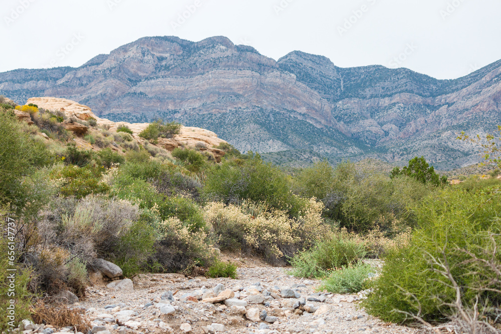 landscape in the mountains, Red Rock Canyon National Conservation Area landscape in the mountains, Red Rock Canyon National Conservation Area
