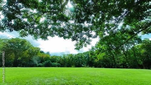 Green Park photo