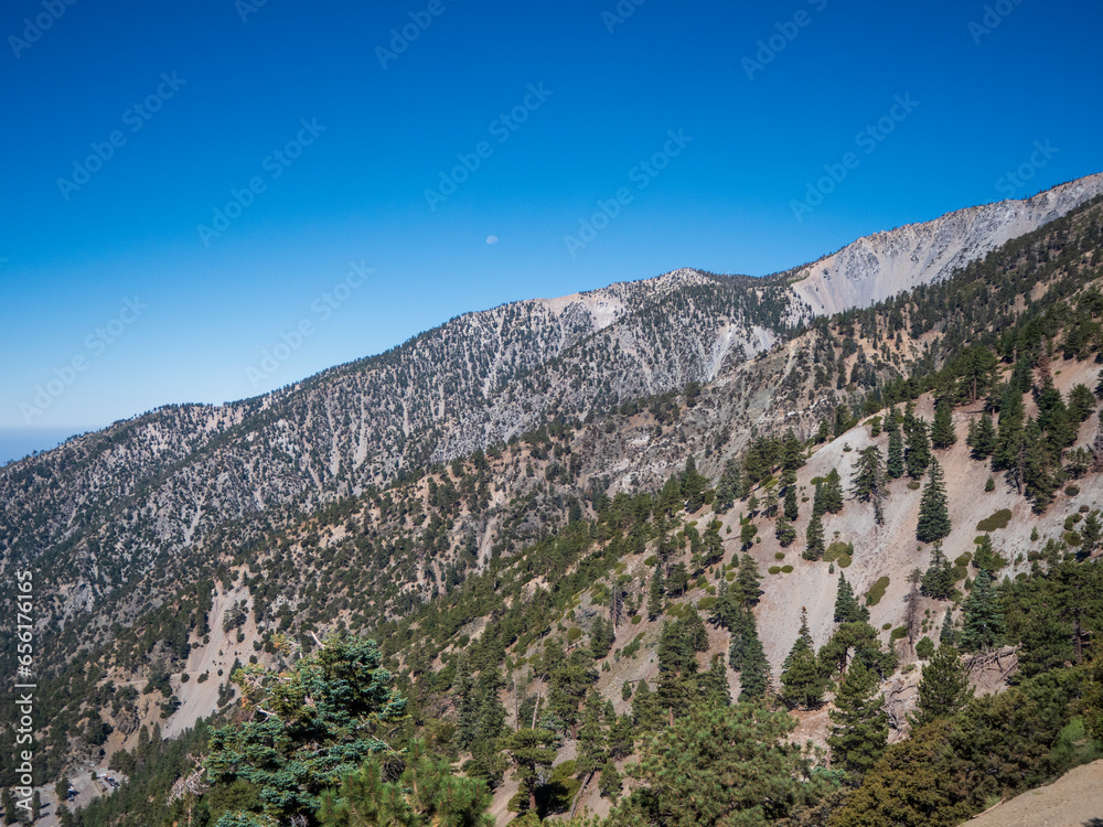 Summer View of Mt. Baldy