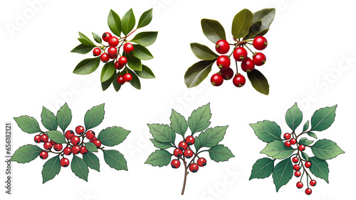 Set of cluster of mistletoe with bright red berries photo