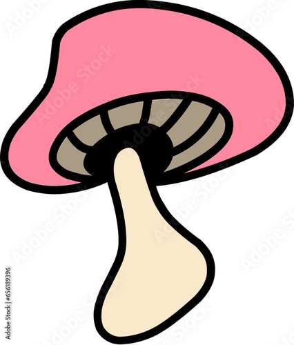 mushroom poison