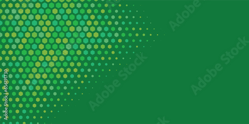 Geometric abstract Hexagon Two Color Background