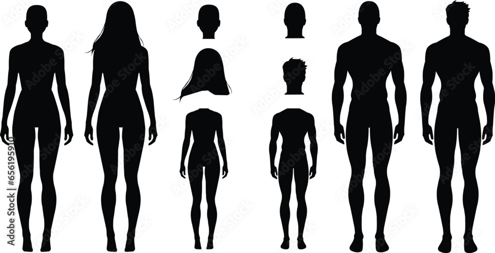 silhouette Human Body Male and female with and without hair Vector 
