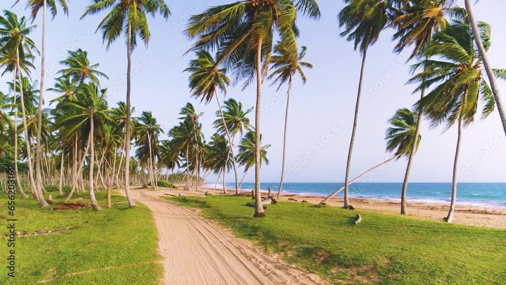 Walk along a tropical evening sandy beach. Paradise beach on an island in the ocean. Seamless loop of sea waves on yellow Hawaiian palm beach. Palm trees, blue sea and pure natural landscape. Walk along a tropical evening sandy beach. Paradise beach on an island in the ocean. Seamless loop of sea waves on yellow Hawaiian palm beach. Palm trees, blue sea and pure natural landscape.