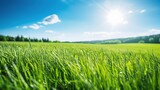 A real photo of Beautiful natural landscape of green fields with grass contrasting with blue sky with sun. Summer blurred background