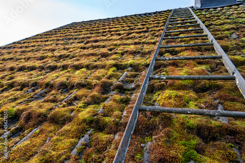 Moss covers roof tiles on house in Sweden photo