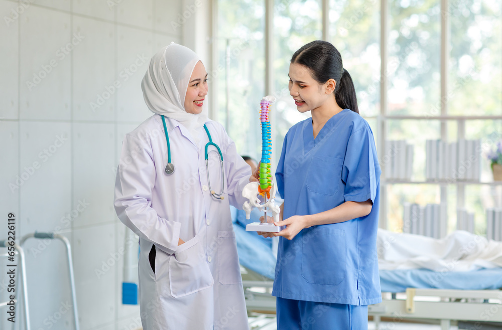 Asian professional successful experienced muslim female doctor in white lab coat with hijab stethoscope talking with assistant nurse in blue uniform holding spine skeleton model sample in hospital Asian professional successful experienced muslim female doctor in white lab coat with hijab stethoscope talking with assistant nurse in blue uniform holding spine skeleton model sample in hospital