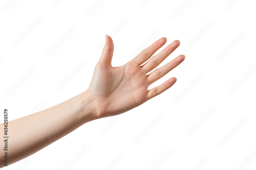 A hand holding something isolated on white background
