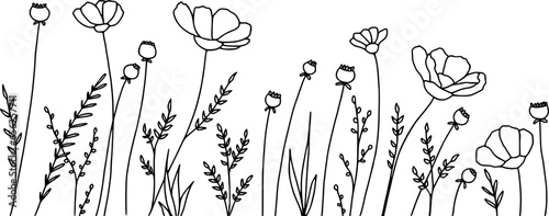 Wildflower field line art