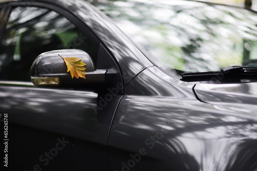 Autumn leaf on the windshield of a car under the brush, against the backdrop of the soft light of the sun at sunset. The concept of cleaning products, polishing, anti-rain. Close-up