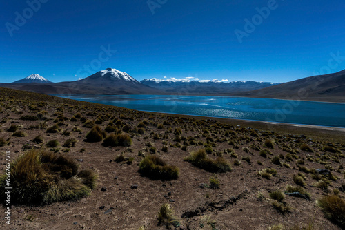Chile photo
