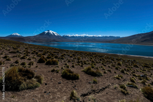 Canvas Print Chile