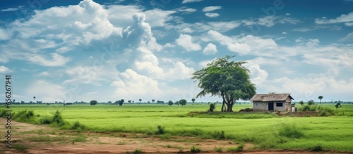 Indian rural home immersed in green grass and scenic cloudy sky depicting village scenery photo