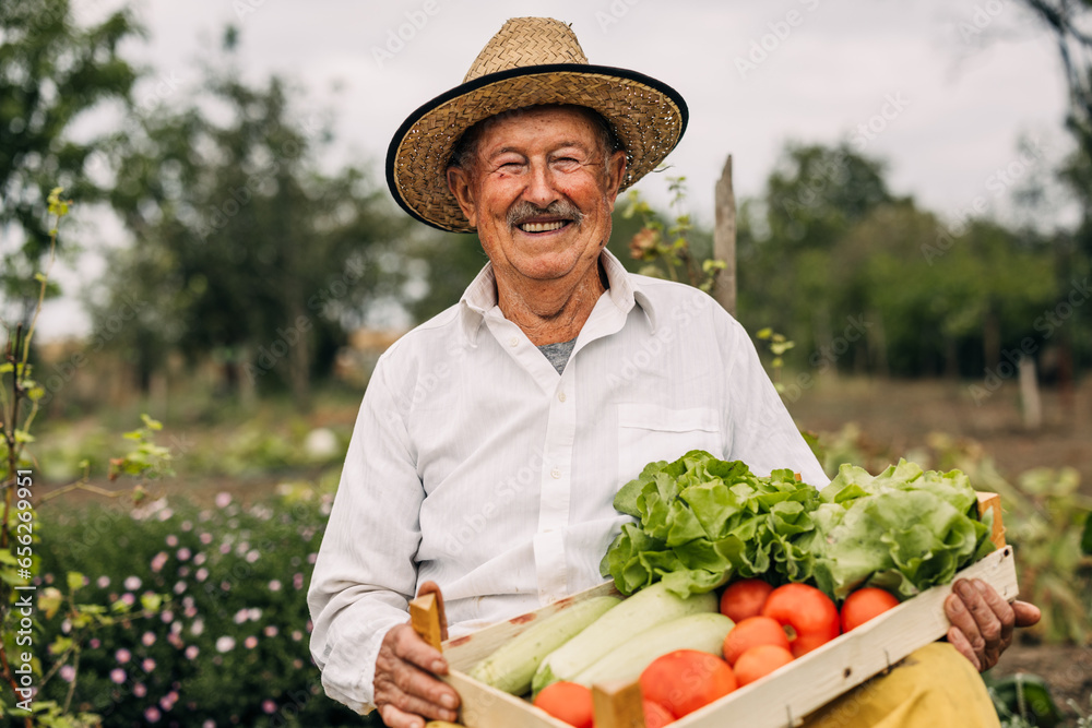 Front view of a happy old man sitting in his garden holding a crate with organic vegetables.