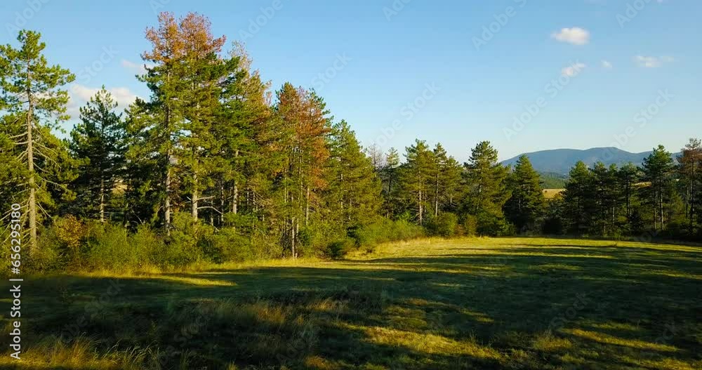 Aerial nature countryside landscape flight over picturesque mountains forests meadows Aerial nature countryside landscape flight over picturesque mountains forests meadows