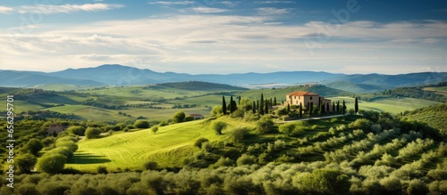 Panoramic view of Maremma countryside with olive trees rolling hills and green fields with the sea on the horizon in Casale Marittimo Tuscany Italy Europe photo
