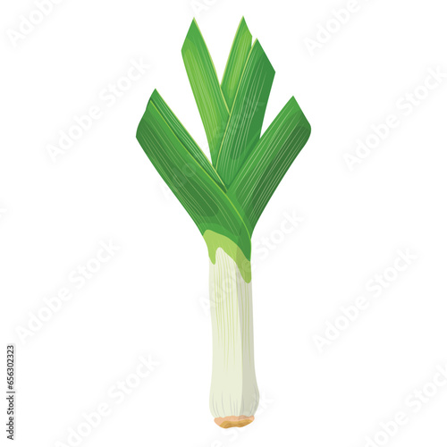 Vector illustration single and group off green leek vegetables. Organic agriculture food product. Healthy, delicious, nutrition and fresh for vegan