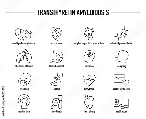 Transthyretin Amyloidosis symptoms, diagnostic and treatment vector icons. Line editable medical icons. photo