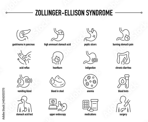 Zollinger-Ellison Syndrome symptoms, diagnostic and treatment vector icons. Line editable medical icons. photo