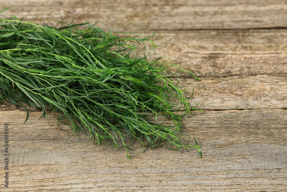 Fresh tarragon sprigs on wooden table. Space for text Fresh tarragon sprigs on wooden table. Space for text