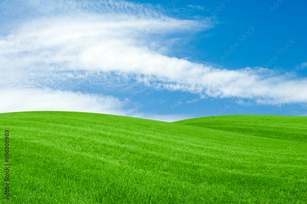 Lush green grass under bright blue sky with clouds Lush green grass under bright blue sky with clouds