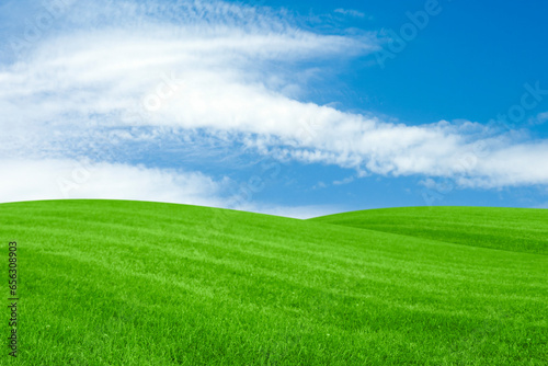 Lush green grass under bright blue sky with clouds