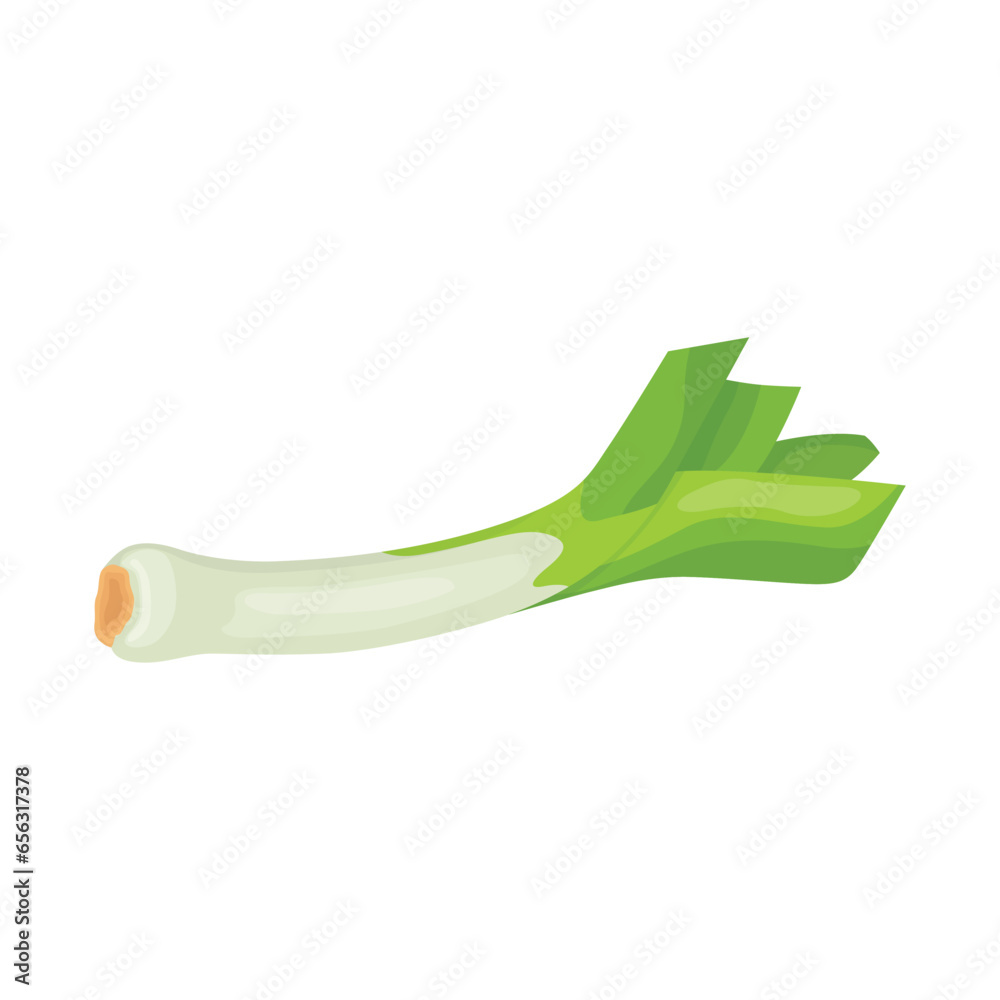 Vector illustration single and group off green leek vegetables. Organic agriculture food product. Healthy, delicious, nutrition and fresh for vegan Vector illustration single and group off green leek vegetables. Organic agriculture food product. Healthy, delicious, nutrition and fresh for vegan