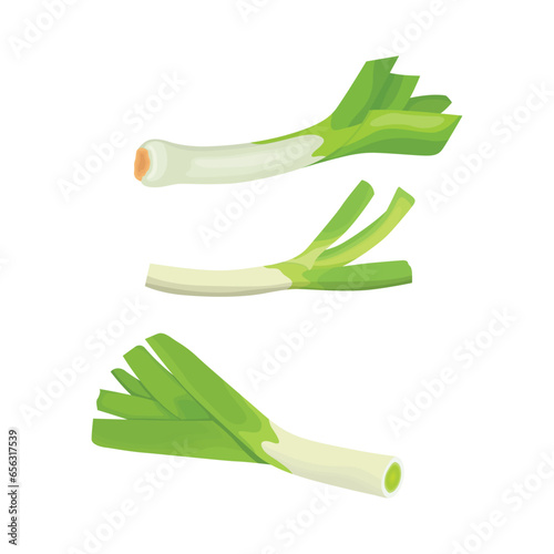 Vector illustration single and group off green leek vegetables. Organic agriculture food product. Healthy, delicious, nutrition and fresh for vegan