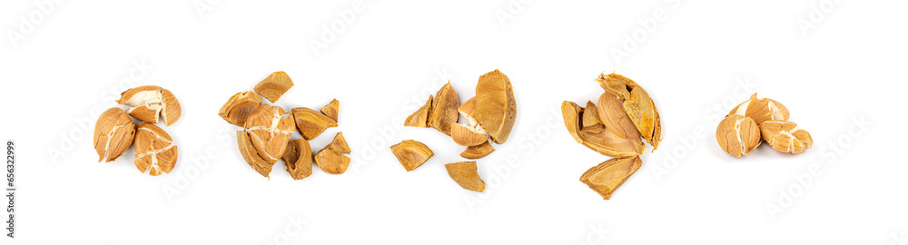 Dry Apricot Kernels Isolated on White Background