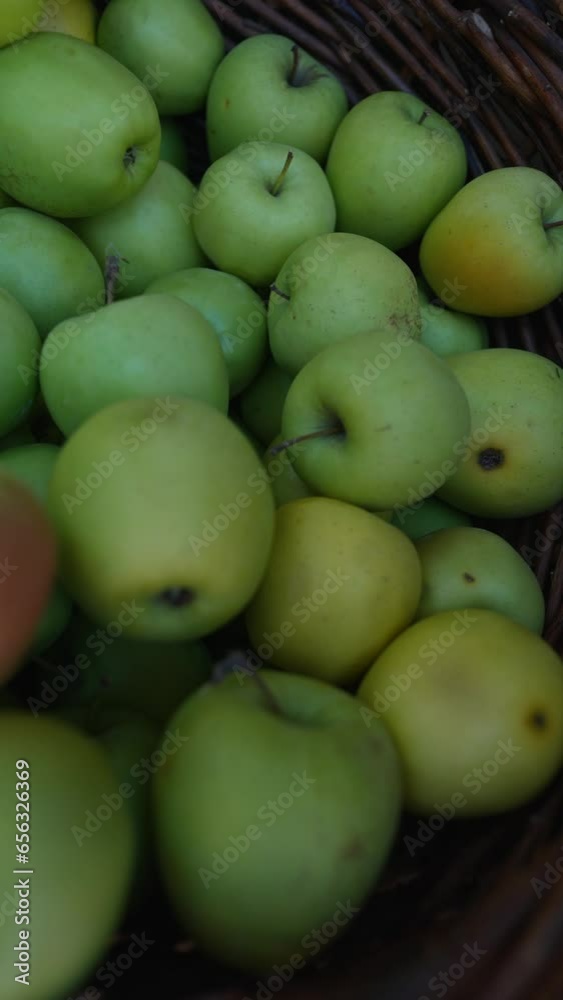 At a European farmer's market, you can find a variety of ripe and juicy fruits on display. At a European farmer's market, you can find a variety of ripe and juicy fruits on display.