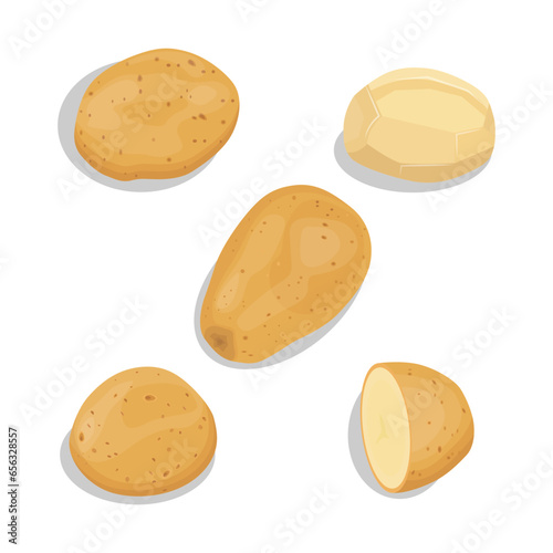 Vector illustration single and group of brown potato in flat style. Root vegetable organic product. Agriculture food healty nature. Whole and sliced with green leaves, peel and cut