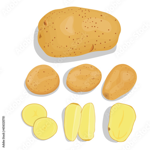 Vector illustration single and group of brown potato in flat style. Root vegetable organic product. Agriculture food healty nature. Whole and sliced with green leaves, peel and cut