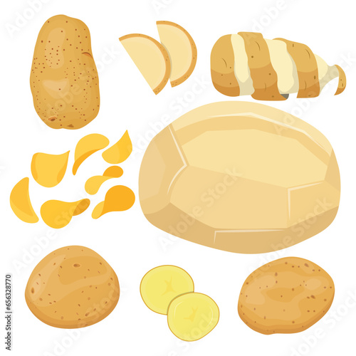 Vector illustration single and group of brown potato in flat style. Root vegetable organic product. Agriculture food healty nature. Whole and sliced with green leaves, peel and cut