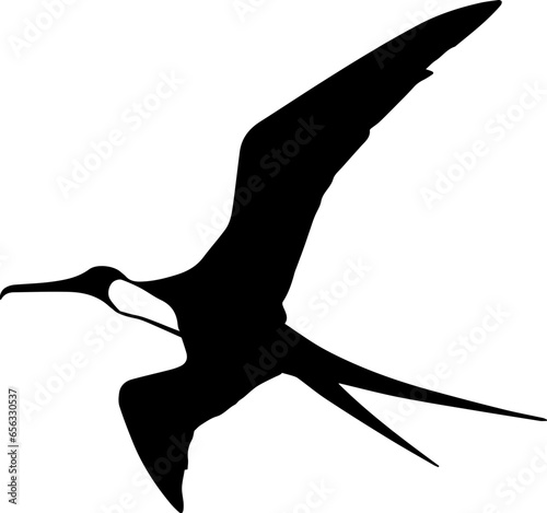 Frigatebird icon