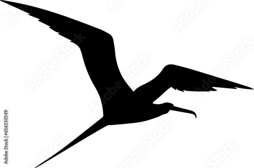 Frigatebird icon 7