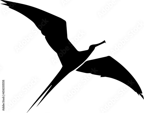 Frigatebird icon 6