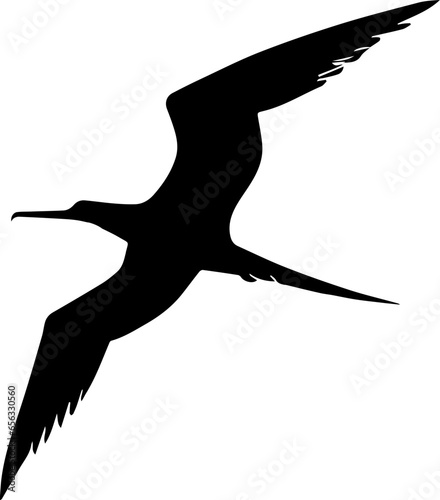 Frigatebird icon 5