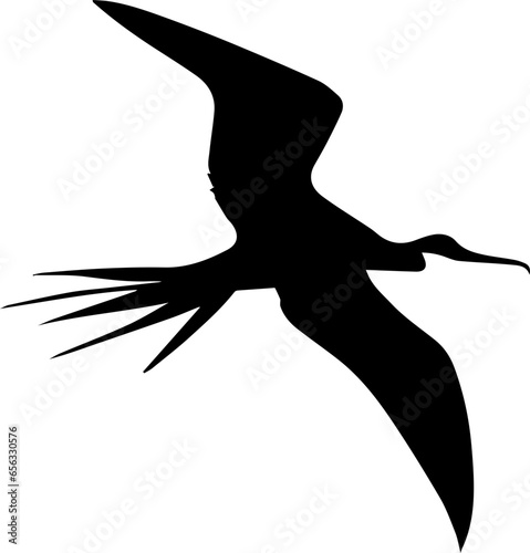 Frigatebird icon 2