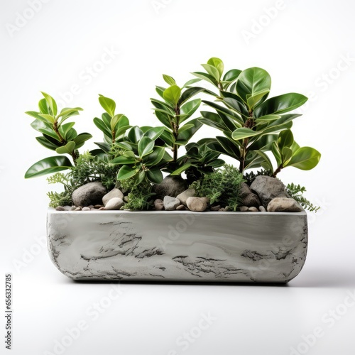 View Concrete Planter With Legson A Completely W 9, Isolated On White Background, High Quality Photo, Hd photo