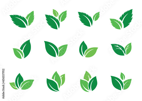 leaf icon, green leaves set