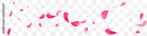 Pink Blossom Beauty Vector Transparent Panoramic