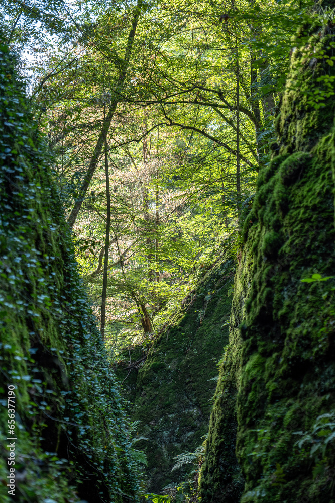 Obraz premium Drachenschlucht