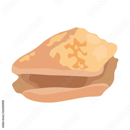 Vector illustration single or set of sea shell in flat style. Animal various mollusc shell in cartoon. Design element for summer beach ocean aquatif life holiday