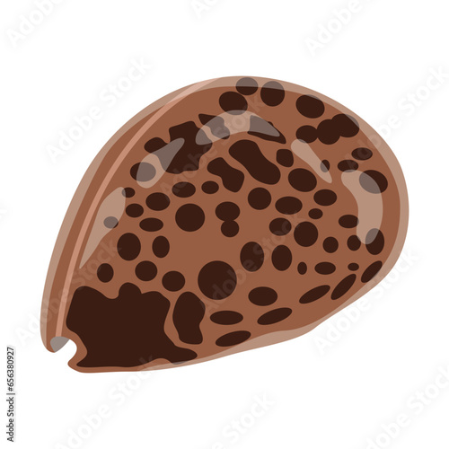 Vector illustration single or set of sea shell in flat style. Animal various mollusc shell in cartoon. Design element for summer beach ocean aquatif life holiday