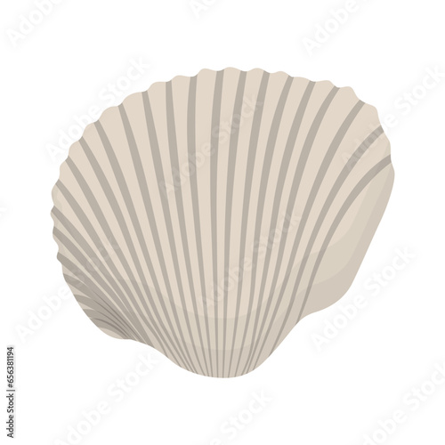 Vector illustration single or set of sea shell in flat style. Animal various mollusc shell in cartoon. Design element for summer beach ocean aquatif life holiday