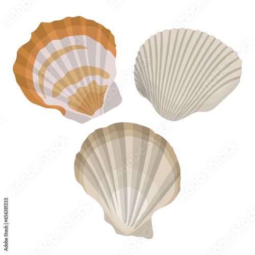 Vector illustration single or set of sea shell in flat style. Animal various mollusc shell in cartoon. Design element for summer beach ocean aquatif life holiday