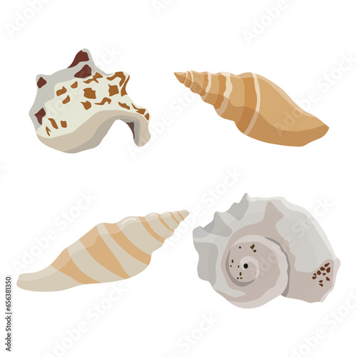 Vector illustration single or set of sea shell in flat style. Animal various mollusc shell in cartoon. Design element for summer beach ocean aquatif life holiday