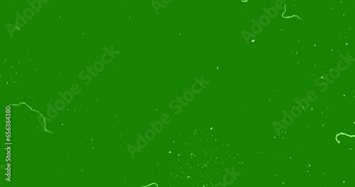green vhs glitch noise background realistic flickering, analog vintage TV signal with bad interference, static noise background, overlay ready, with chroma key green screen